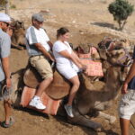 Photo Gallery Camel Ride