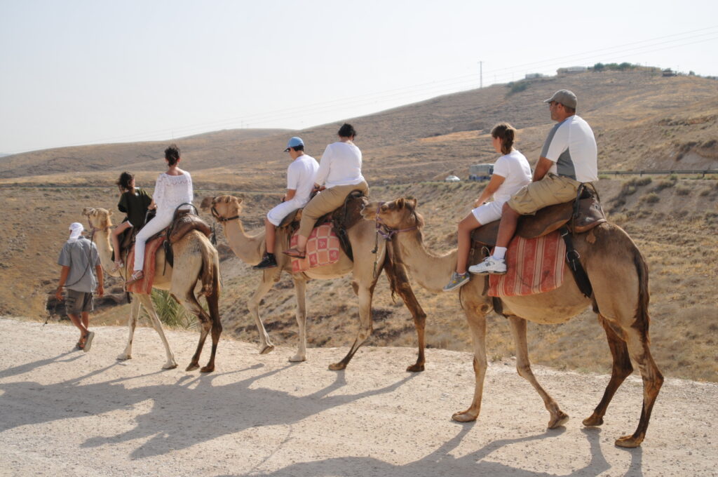 Photo Gallery Camel Ride