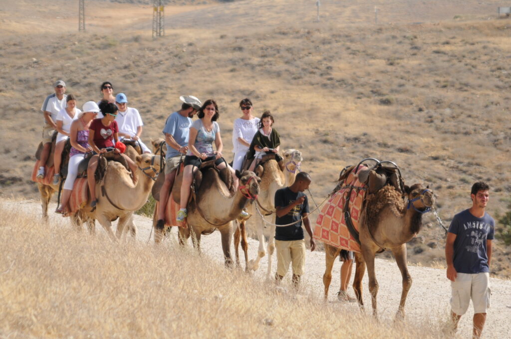 Photo Gallery Camel Ride