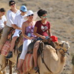 Photo Gallery Camel Ride