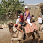 Photo Gallery Camel Ride Israel Tours