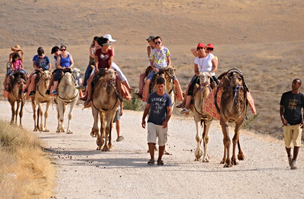 Photo Gallery Negev Camel Ride